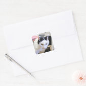 Kat Vierkante Sticker (Envelop)
