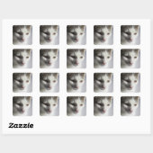 Kat Vierkante Sticker (Vel)