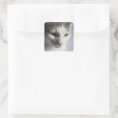 Kat Vierkante Sticker (Tas)