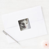 Kat Vierkante Sticker (Envelop)