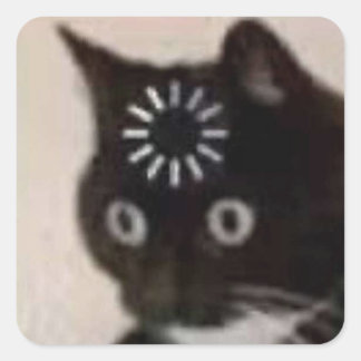 kat vierkante sticker