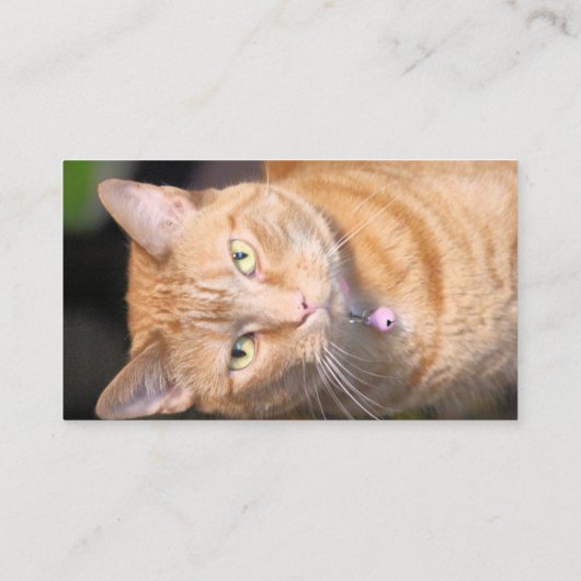 Kat Visitekaartje (Achterkant)