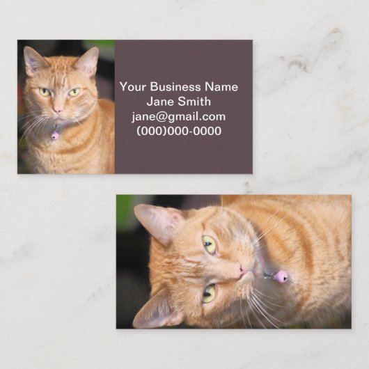 Kat Visitekaartje (Voorkant / Achterkant)