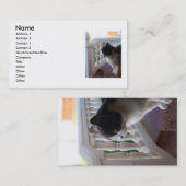 Kat Visitekaartje (Voorkant / Achterkant)