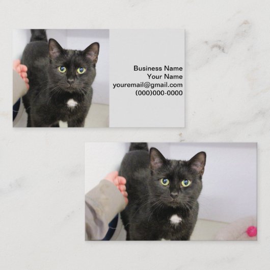 Kat Visitekaartje (Voorkant / Achterkant)