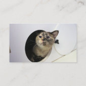 Kat Visitekaartje (Achterkant)