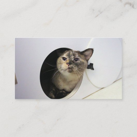 Kat Visitekaartje (Achterkant)