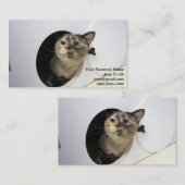 Kat Visitekaartje (Voorkant / Achterkant)