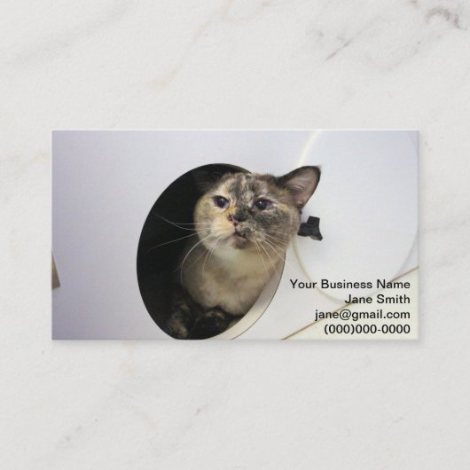 Kat Visitekaartje (Voorkant)