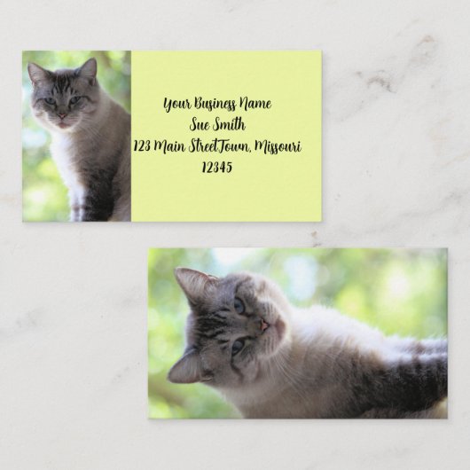 Kat Visitekaartje (Voorkant / Achterkant)