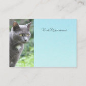 Kat Visitekaartje Afsprakenkaartje (Achterkant)