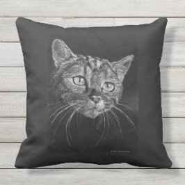 Kat vlakkigtekening buitenkussen