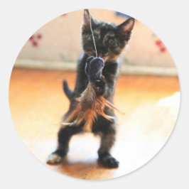 Kat vliegvissen ronde sticker