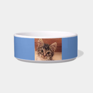 Kat-voedsel, waterBowl et Bowl Voerbakje