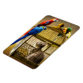 Kat & Vogels Magneet (Linkerzijde)