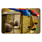 Kat & Vogels Magneet (Horizontaal)
