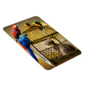 Kat & Vogels Magneet (Rechterzijde)