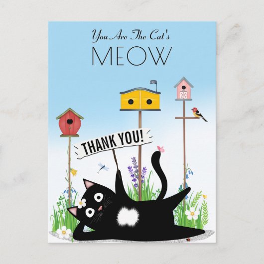 Kat Vogels Tuin Dank Je Briefkaart (Voorkant)