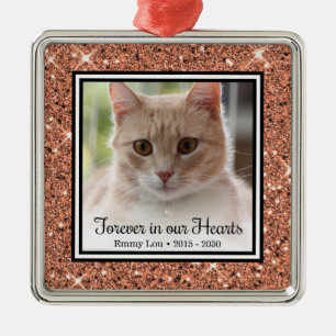 Kat Voor Altijd in Onze Hartjes Metalen Ornament