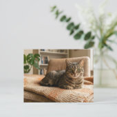 Kat Voor Altijd Thuis Aankondiging  Briefkaart (Staand voorkant)