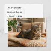 Kat Voor Altijd Thuis Aankondiging  Briefkaart (Voorkant / Achterkant)