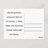Kat Voor Altijd Thuis Aankondiging  Briefkaart (Achterkant)