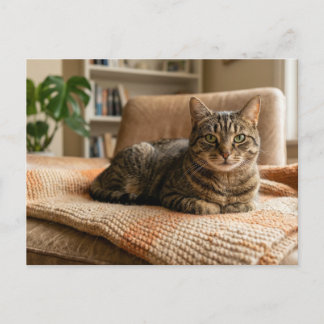 Kat Voor Altijd Thuis Aankondiging  Briefkaart