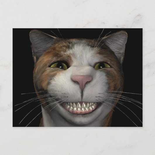 Kat voor glimlachen briefkaart (Voorkant)