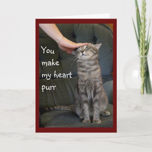 Kat voor glimlachen is een petto-feestkaart feestdagen kaart (Voorkant)