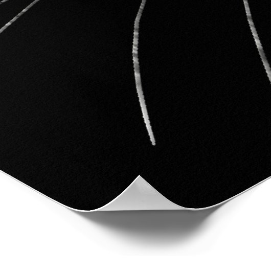 Kat voor glimlachen poster (Hoek)