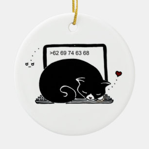 Kat voor laptop (Tuxedo - zwart-wit) sieraadbord Keramisch Ornament