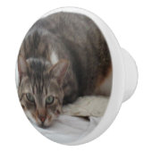 Kat voor tablet Aangepaste keramische knop (Rechts)