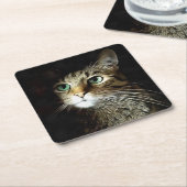 Kat voor tablet met groene ogen, geïsoleerd op zwa kartonnen onderzetters (Schuin)