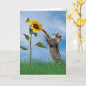 Kat voor tafelgebruik met zonnebloempitdag kaart (Gele Bloem)