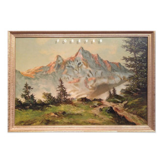 Kat voor toetsenbord foto afdruk