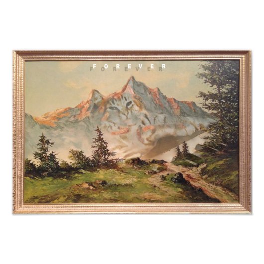 Kat voor toetsenbord foto afdruk (Voorkant)