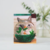 Kat voor vissen in aquarium briefkaart (Staand voorkant)