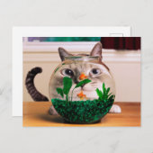 Kat voor vissen in aquarium briefkaart (Voorkant / Achterkant)