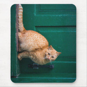 Kat, voordeur, huisdier muismat