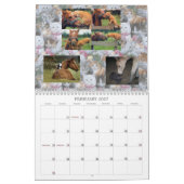 KAT-VRIENDEN VAN INTERNET KALENDER (Feb 2027)