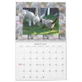 KAT-VRIENDEN VAN INTERNET KALENDER (Mar 2027)