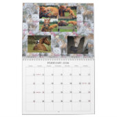 KAT-VRIENDEN VAN INTERNET KALENDER (Feb 2026)