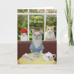 Kat Vrouw Birthday Kaart<br><div class="desc">Missy in een badjas met koffie,  met Mikie en Bubba buiten die kijken verloren.   U kunt alle tekst aanpassen,  de doopvonten,  de doopvontkleuren en de doopvontgrootte veranderen.  Het gras en de bank op de achtergrond zijn bedankt voor publicdomainpictures.</div>