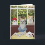 Kat Vrouw Birthday Kaart<br><div class="desc">Missy in een badjas met koffie,  met Mikie en Bubba buiten die kijken verloren.   U kunt alle tekst aanpassen,  de doopvonten,  de doopvontkleuren en de doopvontgrootte veranderen.  Het gras en de bank op de achtergrond zijn bedankt voor publicdomainpictures.</div>