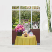   Kat Vrouw Fotobom Verjaardag Kaart (Voorkant)