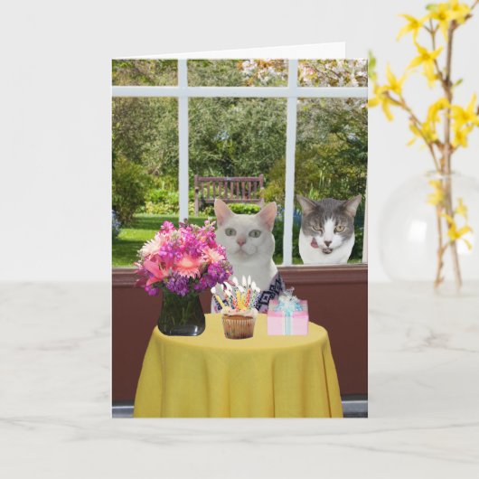 Kat Vrouw Fotobom Verjaardag Kaart (Gele Bloem)