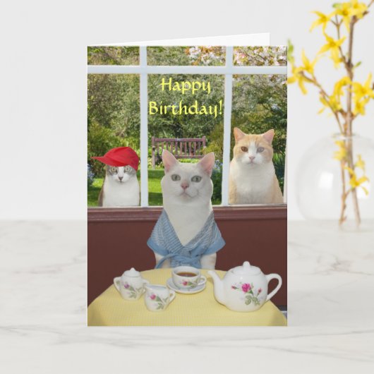   Kat Vrouw Verjaardag Kaart (Gele Bloem)