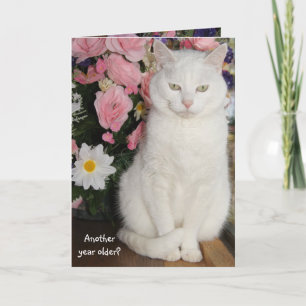  kat Vrouwelijke verjaardag Kaart