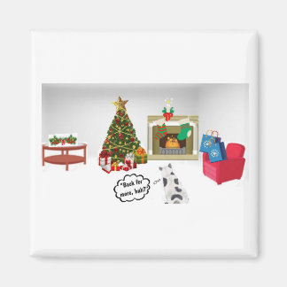 Kat vs. boom magneet