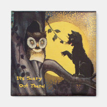 Kat Waarschuwing Uil Halloween Magnet